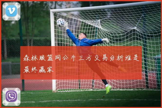森林狼篮网公牛三方交易分析谁是最终赢家